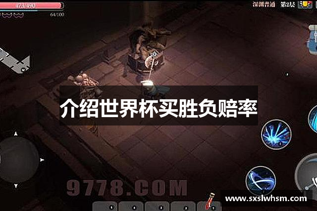 介绍世界杯买胜负赔率